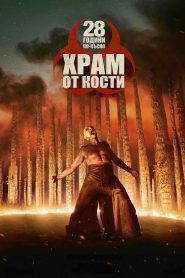 28 години по-късно